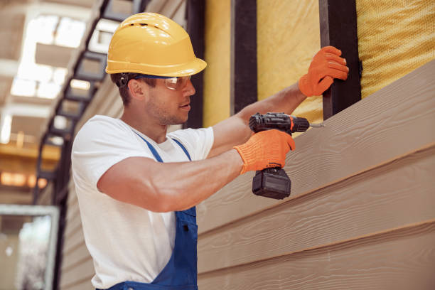 Best Siding Replacement  in Wadsworth, IL